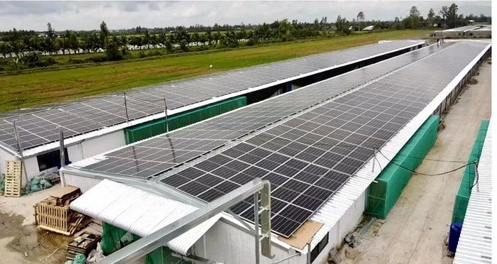 Doanh nghiệp nên lựa chọn nhà thầu cung cấp tấm pin và inverter từ các thương hiệu uy tín